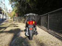 �z���_�^�N�g�i�L�����L���s�������j�摜4