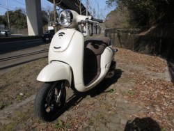 �z���_�W�����m�i�L�����L���s�������j�摜5