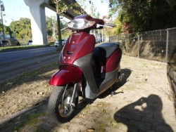 �z���_�^�N�g�i�L�����L���s�������j�摜5