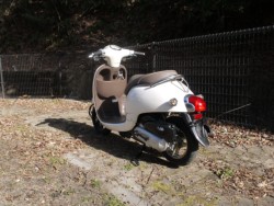 �z���_�W�����m�i�L�����L���s�������j�摜7