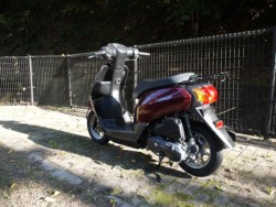 �z���_�^�N�g�i�L�����L���s�������j�摜7