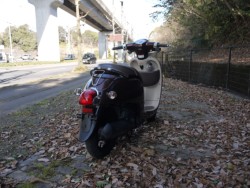 �z���_�W�����m�i�L�����L���s�������j�摜8