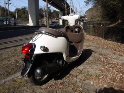 �z���_�W�����m�i�L�����L���s�������j�摜8