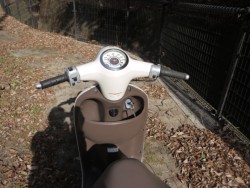 �z���_�W�����m�i�L�����L���s�������j�摜9