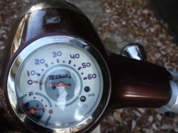 �z���_�W�����m�i�L�����L���s�������j�摜10