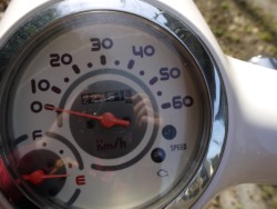 �z���_�W�����m�i�L�����L���s�������j�摜11