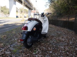 ���}�n�r�[�m�i�L�����L���s�������j�摜8