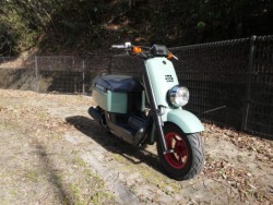 ���}�nVOX�i�L�����L���s�������j�摜6