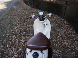 ���}�n�r�[�m�i�L�����L���s�������j�摜9