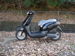 �z���_�^�N�g�i�L�����L���s�������j�摜2