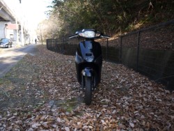 �z���_�^�N�g�i�L�����L���s�������j�摜3