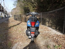 �X�Y�L���b�c�i�L�����L���s�������j�摜4