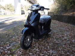 �z���_�^�N�g�i�L�����L���s�������j�摜5