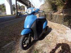 �X�Y�L���b�c�i�L�����L���s�������j�摜7