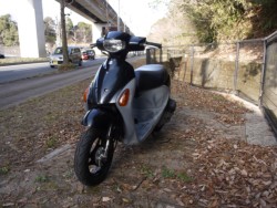 �X�Y�L���b�c4�i�L�����L���s�������j�摜5