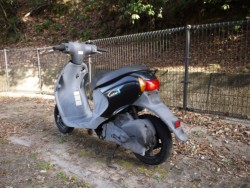 �X�Y�L���b�c4�i�L�����L���s�������j�摜7