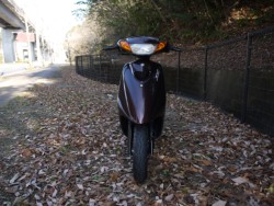 ���}�n�W���O�i�L�����L���s�������j�摜3