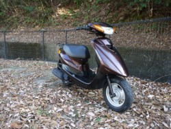 ���}�n�W���O�i�L�����L���s�������j�摜6