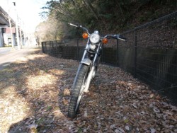 �z���_TL125�o�C�A���X�i�L�����L���s�������j�摜2