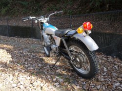 �z���_TL125�o�C�A���X�i�L�����L���s�������j�摜5