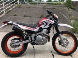 ���}�n&nbsp;�Z���[250 