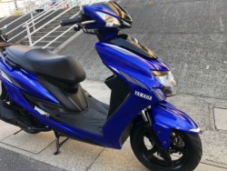 ���}�n�V�O�i�X-X�i�L�����L���s���j�摜2