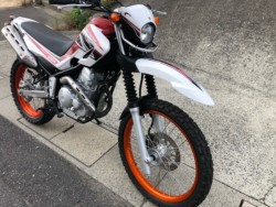 ���}�n�Z���[250�i�L�����L���s���j�摜2