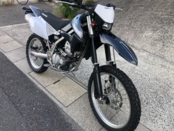 �J���T�LKLX250�i�L�����L���s���j�摜2