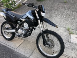 �J���T�LKLX250�i�L�����L���s���j�摜2