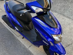 ���}�n�V�O�i�X-X�i�L�����L���s���j�摜5