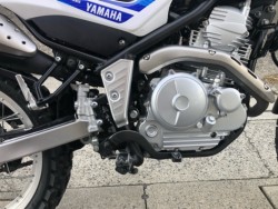 ���}�n�Z���[250�i�L�����L���s���j�摜5