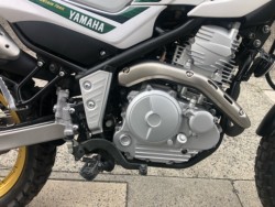 ���}�n�Z���[250�i�L�����L���s���j�摜5