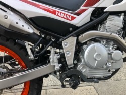 ���}�n�Z���[250�i�L�����L���s���j�摜5