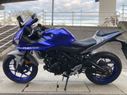 ���}�nYZF-R25�i�L�����L���s���j�摜8