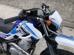 ���}�n�Z���[250�i�L�����L���s���j�摜8