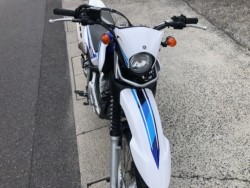 ���}�n�Z���[250�i�L�����L���s���j�摜9