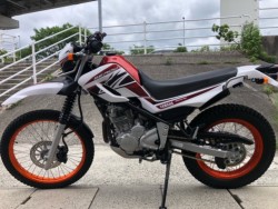 ���}�n�Z���[250�i�L�����L���s���j�摜9