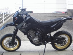 z_CRF250MiLLsj摜10