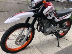 ���}�n�Z���[250�i�L�����L���s���j�摜10