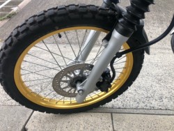 ���}�n�Z���[250�i�L�����L���s���j�摜10