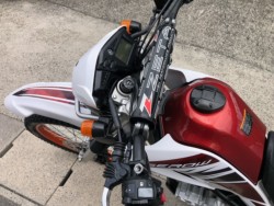 ���}�n�Z���[250�i�L�����L���s���j�摜15