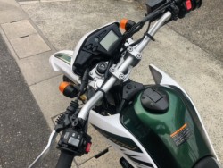 ���}�n�Z���[250�i�L�����L���s���j�摜15