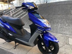 ���}�n�V�O�i�X-X�SR�i�L�����L���s���j�摜2