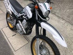 ���}�n�Z���[250�i�L�����L���s���j�摜2