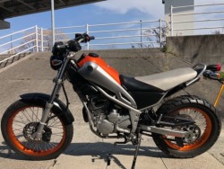 ���}�n�g���b�J�[�i�L�����L���s���j�摜9