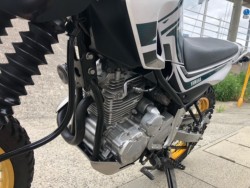 ���}�n�Z���[250�i�L�����L���s���j�摜14