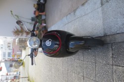 �z���_�W�����m�i���Q�������l�s�j�摜3