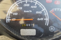 ���}�n�W���O�i���Q�������l�s�j�摜7