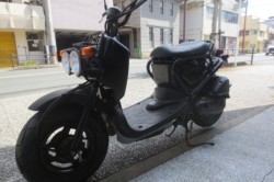 �z���_�Y�[�}�[�i���Q�������l�s�j�摜3