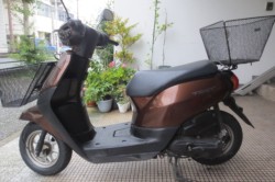 �z���_�^�N�g�E�x�[�V�b�N�i���Q�������l�s�j�摜3